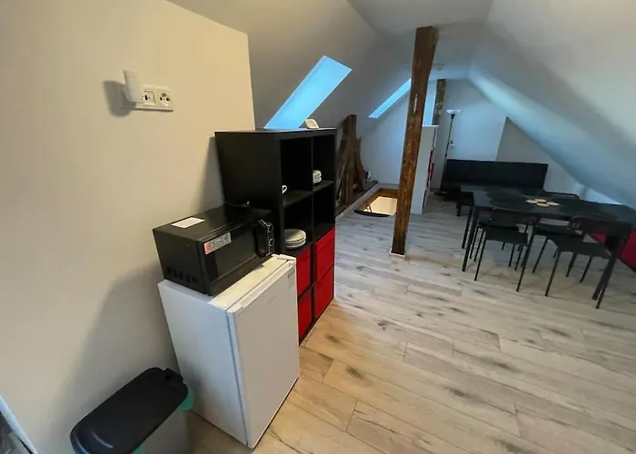 Francis Apartment 2 - Lazenske Centrum