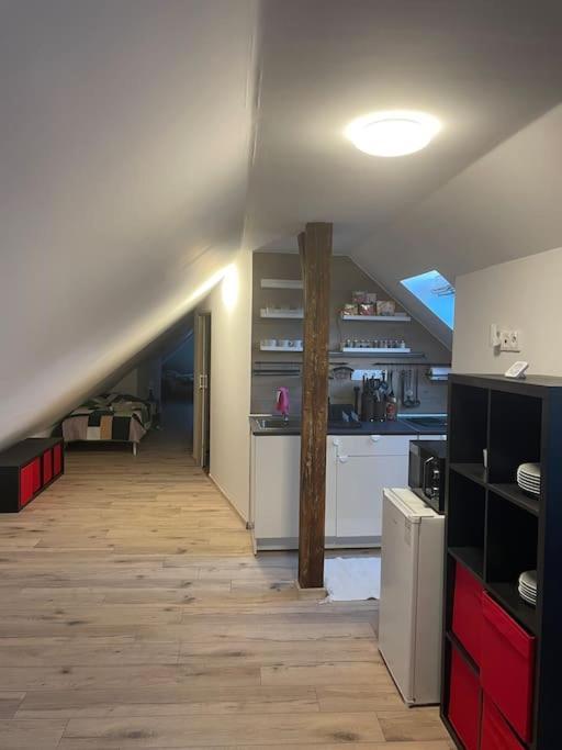 Apartment Francis 2 - Lazenske Centrum Karlsbad
